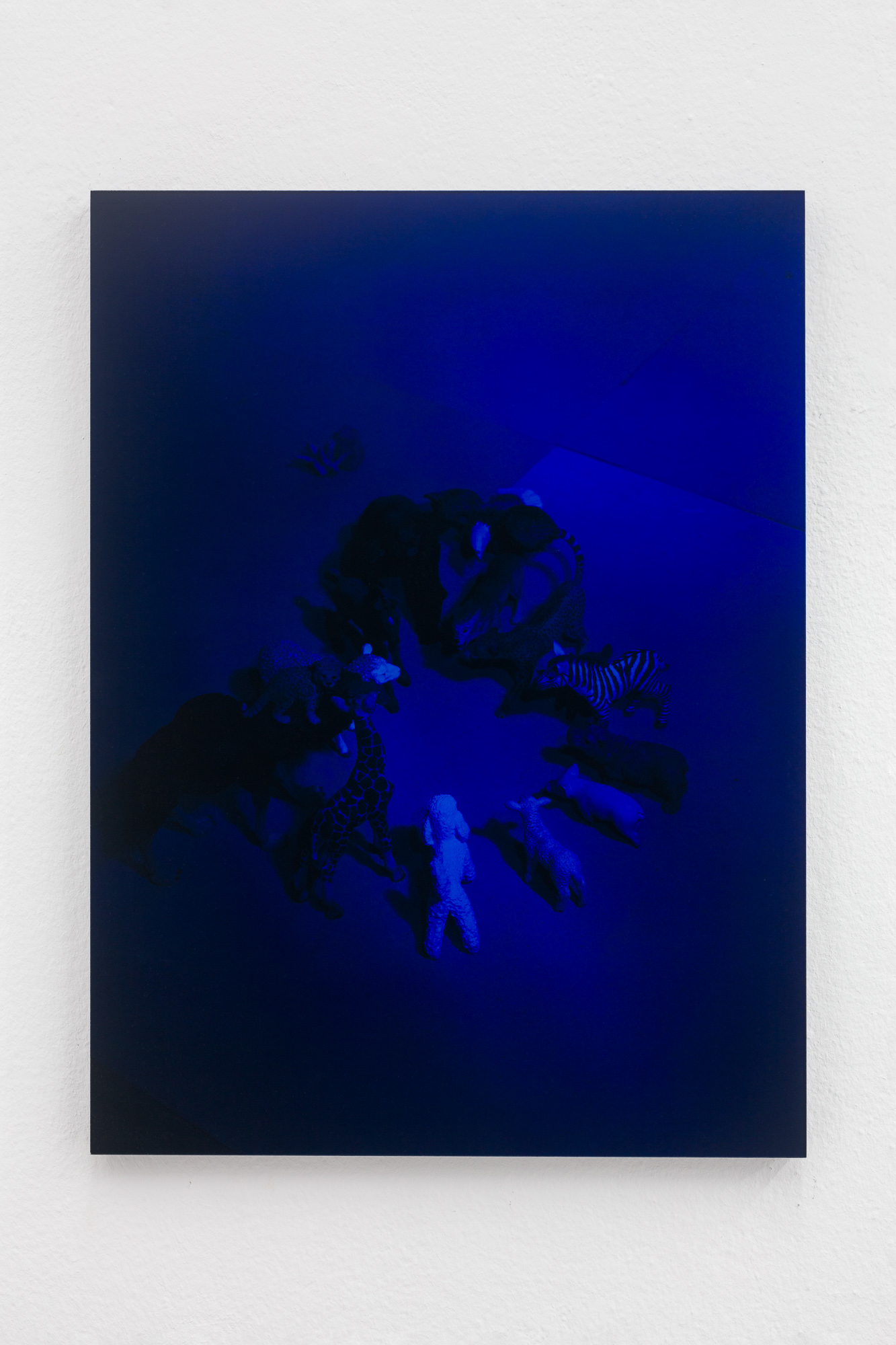 Stephanie Stern Artist Kunst