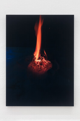 Stephanie Stern Artist 