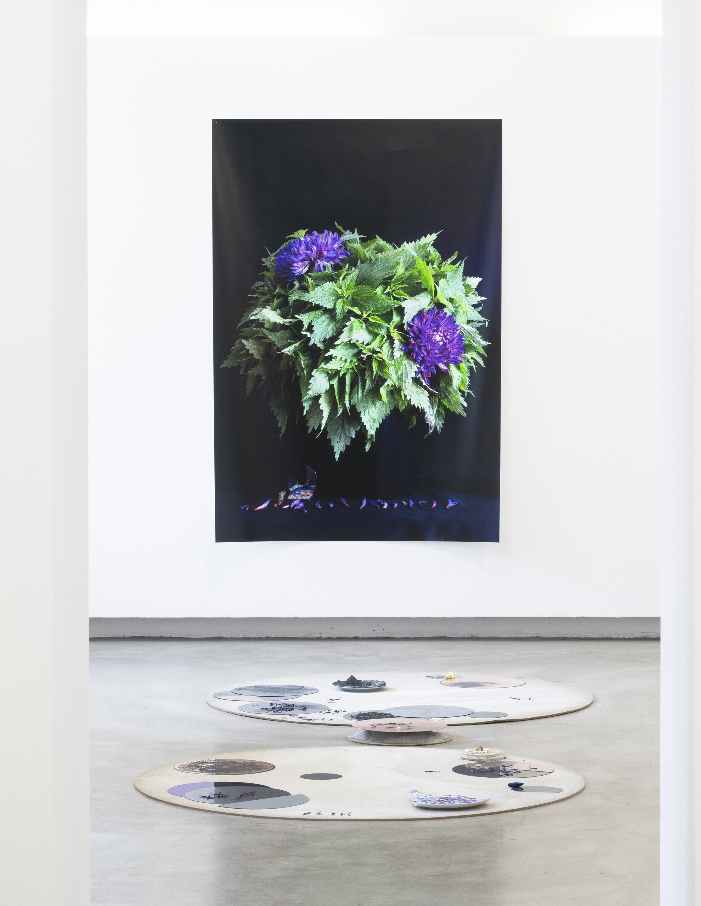 Stephanie Stern Artist Kunst