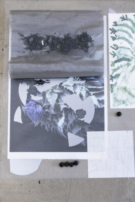 Stephanie Stern Artist, Kunst 