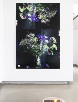 Stephanie Stern Artist, Kunst 