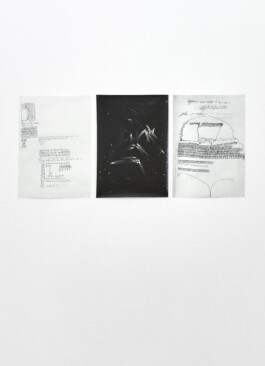 Stephanie Stern Artist, Kunst 