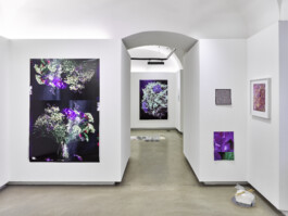 Stephanie Stern Artist, Kunst