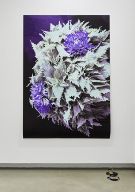 Stephanie Stern Artist, Kunst