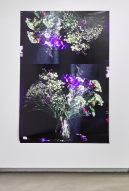 Stephanie Stern Artist, Kunst