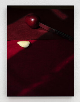 Stephanie Stern Artist 