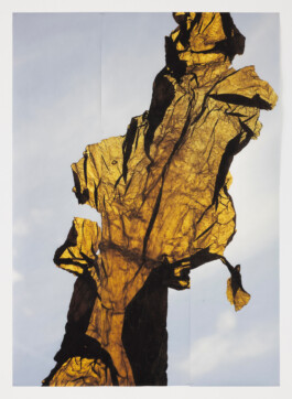 Stern Stephanie Artist 