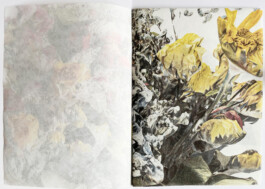 Stephanie Stern Art Kunst