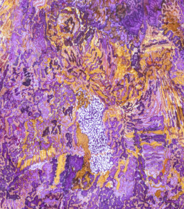 Stephanie Stern Artist, Kunst