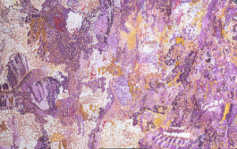 Stephanie Stern Artist, Kunst