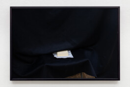 Stephanie Stern Artist, Kunst 