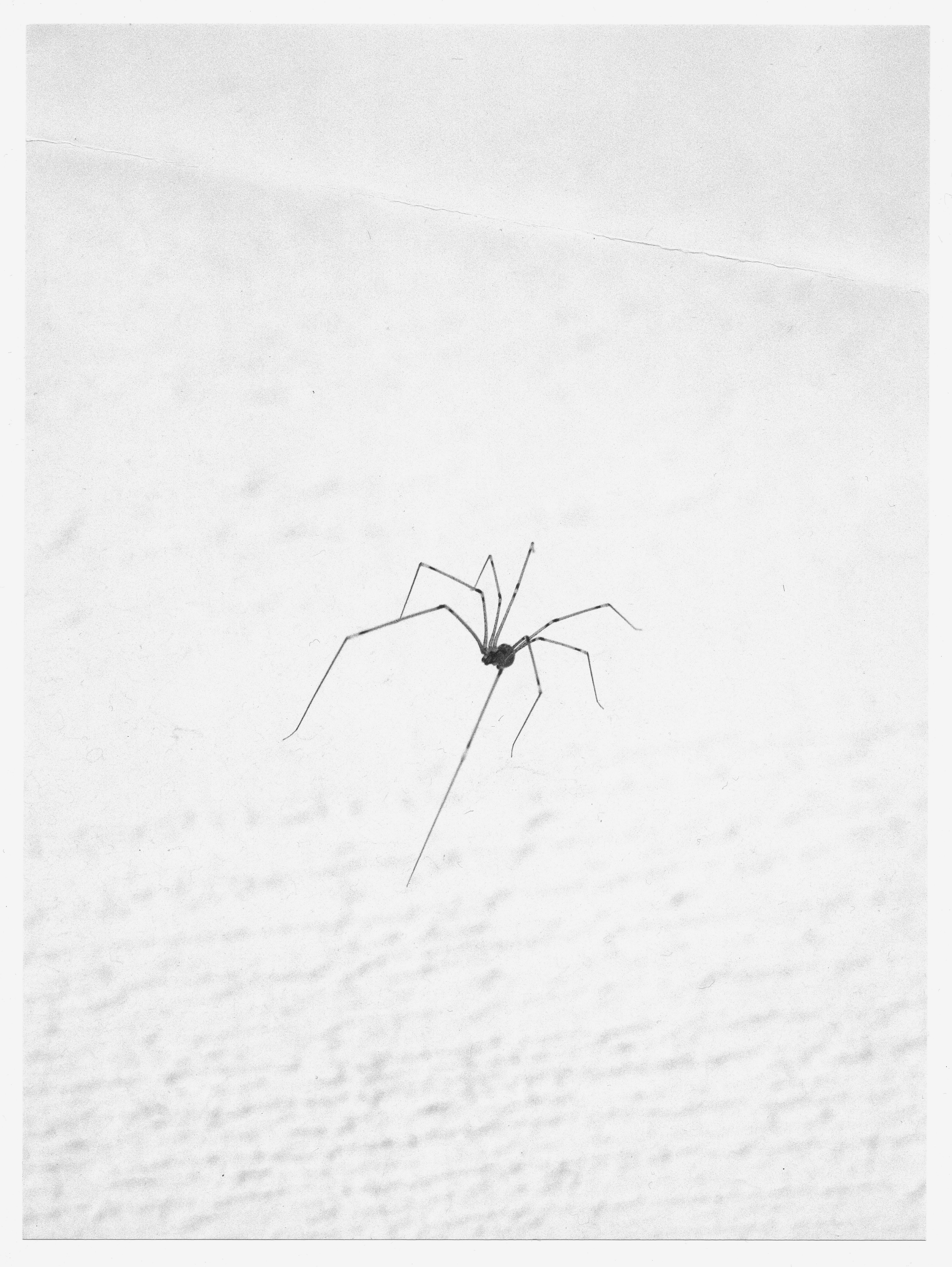 Stephanie Stern Artist Kunst 