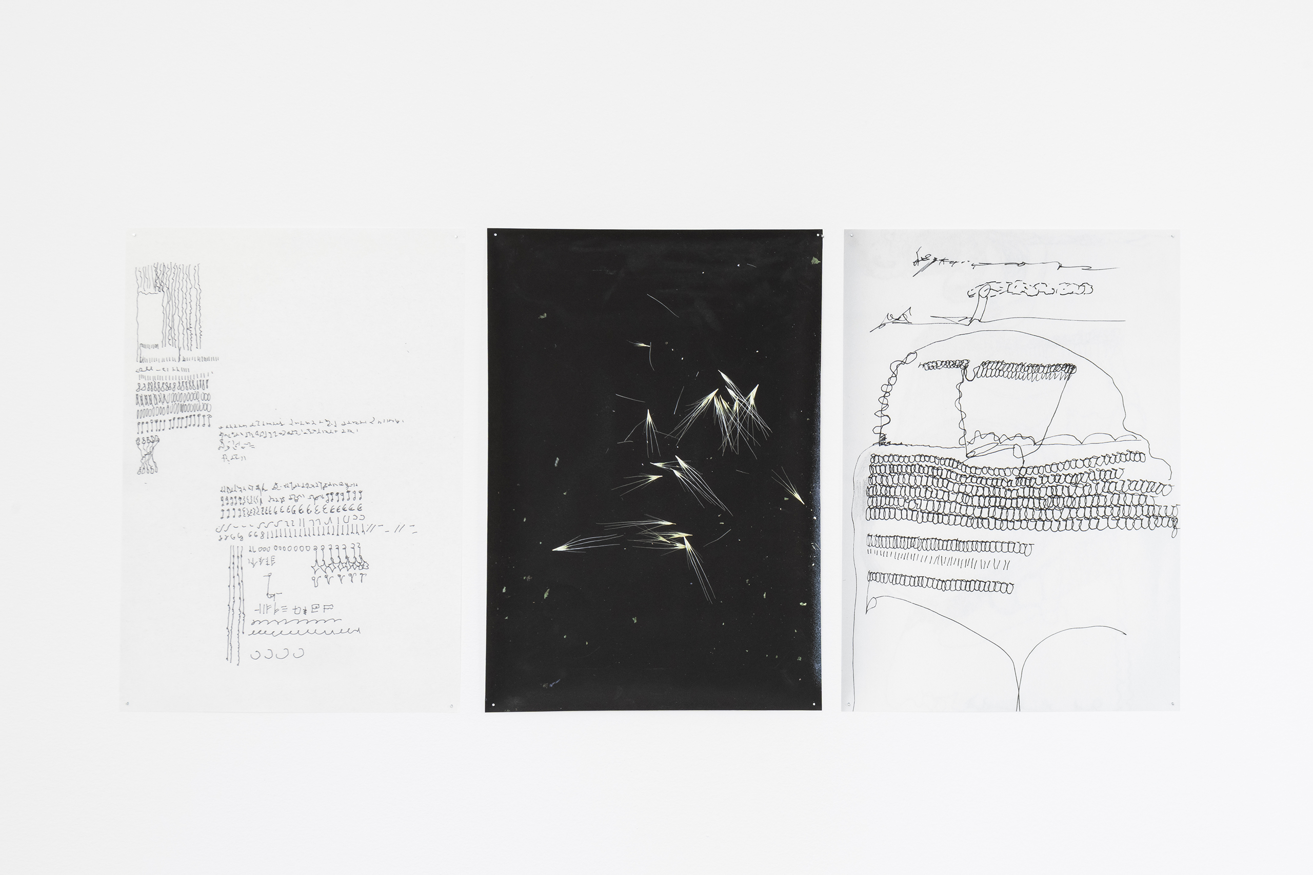  Stephanie Stern Artist Kunst